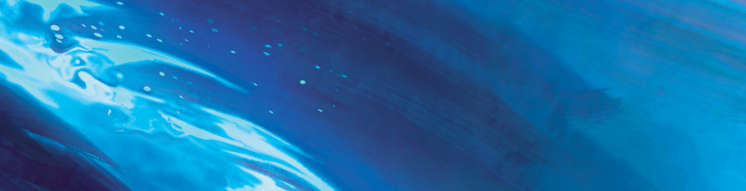 Black Lotus VIP Experience