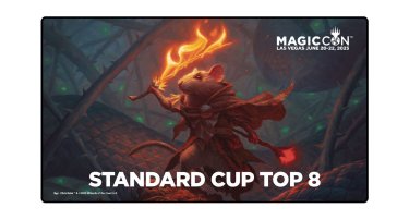 Standard Cup Top 8